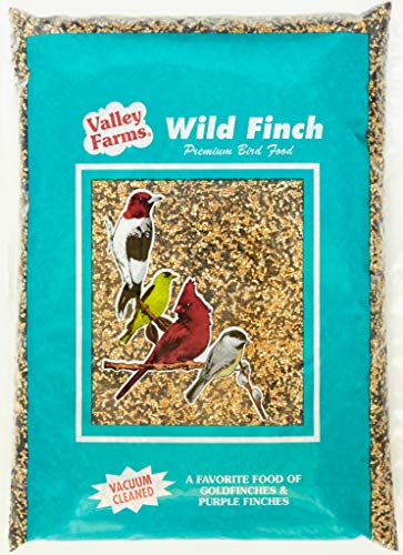 Valley Farms Wild Finch Mix Wild Bird Food -Super Clean Seed for Outdoor Finch Feeder - 15 LBS