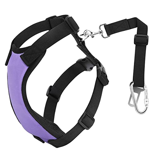 VavoPaw Dog Vehicle Safety Vest Harness, Adjustable Soft Padded Mesh Car Seat Belt Leash Harness with Travel Strap and Carabiner for Most Cars, Size Large, Purple