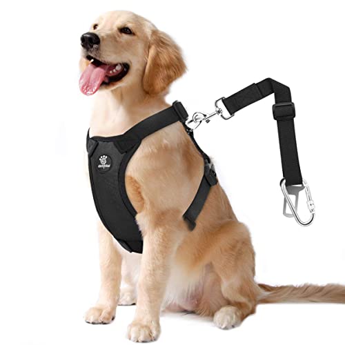 VavoPaw Dog Vehicle Safety Vest Harness, Adjustable Soft Padded Mesh Car Seat Belt Leash Harness with Travel Strap and Carabiner for Most Cars, Size Large, Black