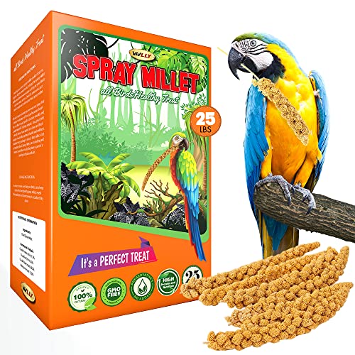 Vivlly 25 LBS GMO-Free Sun Dried Spray Millet - Original Bird Treat Millet for Parakeets, Cockatiels, Finches & More - Non-GMO, High in Amino Acids, Easy Storage, Tasty & Healthy Bird Snacks (25 lbs)