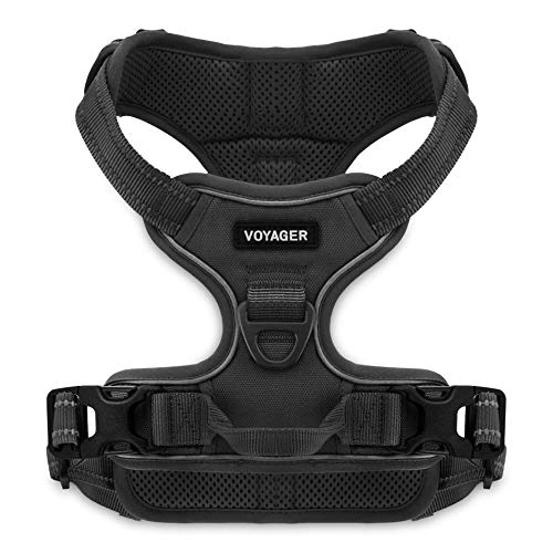 Voyager Dog Harness Dual Leash Attachment No-Pull Control Adjustable Soft but Strong Pet Harness for Medium and Large Dogs with 3M Reflective Technology - Black, M (Chest: 20 - 25")