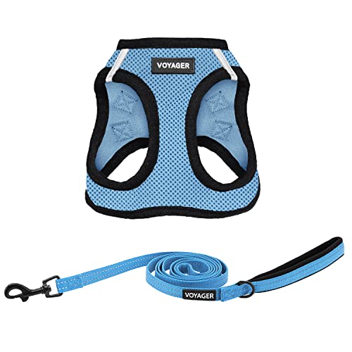 Voyager Step-in Air All Weather Mesh Harness & Reflective Dog 5 ft Leash Combo, Neoprene H&le, for Small, Medium, Large Breed Puppies by Best Pet Supplies - Leash Harness (Baby Blue/Black Trim), M