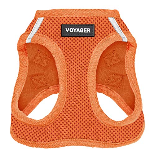 Voyager Step-in Air Dog Harness - All Weather Mesh Step in Vest Harness for Small and Medium Dogs by Best Pet Supplies - Harness (Orange), Small