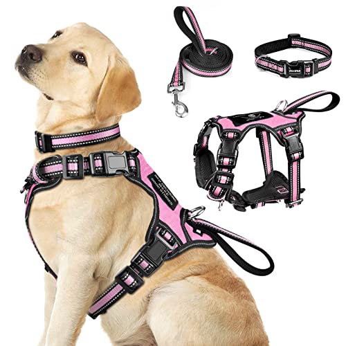 WINSEE Pet Harness Collar and Leash Set, All-in-one Reflective Dog Harness No Pull with Adjustable Buckles for Puppies, Small, Medium, Large, and Extra-Large Dogs (Large, Pink)