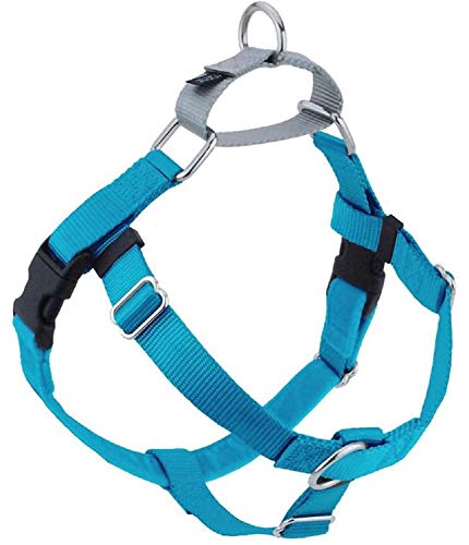 2 Hounds Design Freedom No Pull Dog Harness | Adjustable Gentle Comfortable Control for Easy Dog Walking | for Small Medium and Large Dogs | Made in USA | Leash Not Included | 1" LG Turquoise