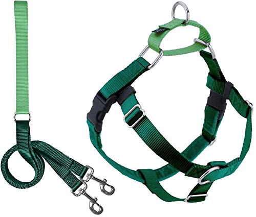 2 Hounds Design Freedom No Pull Dog Harness | Adjustable Gentle Comfortable Control for Easy Dog Walking |for Small Medium and Large Dogs | Made in USA | Leash Included | 1" MD Kelly Green