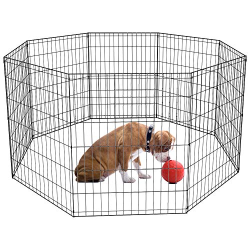 Chain Link Dog Kennel With Top