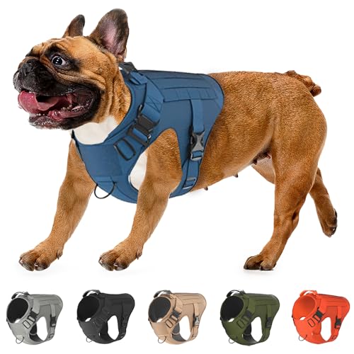 Adjustable Tactical Dog Harness & Leash Set - No-Pull MOLLE Vest with Handle, Front Leash Clip, Hook & Patch - Perfect for Small to Large Dogs (XL: Neck 20"-28", Chest 32"-39"), Bermuda Blue