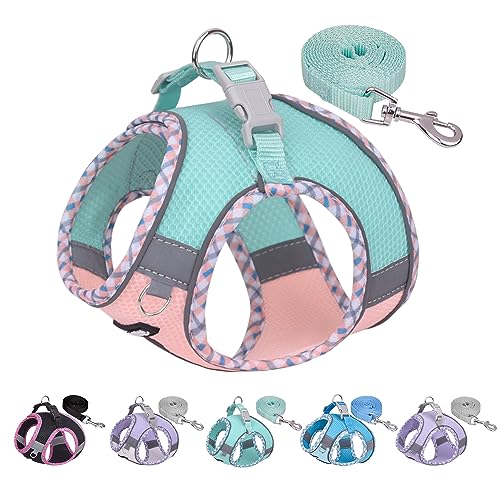 AIITLE Pet Supply No Pull, Step in Adjustable Dog Harness with Padded Vest for All Weather, Reflective Adjustable Pet Harness, Easy to Put on Small Dogs Turquoise-Pink S