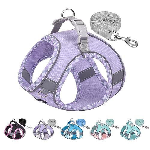 AIITLE Pet Supply No Pull, Step in Adjustable Dog Harness with Padded Vest for All Weather, Reflective Adjustable Pet Harness, Easy to Put on Small Dogs Purple S