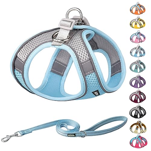 AIITLE Step in Dog Harness and Leash Set - Dog Vest Harness with Super Breathable Mesh, Reflective No-Pull Pet Harness for Outdoor Walking, Training for Small Dogs, Cats Blue XXS