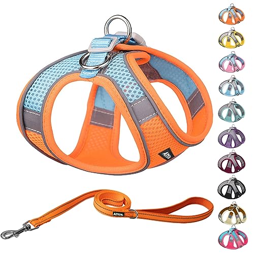 AIITLE Step in Dog Harness and Leash Set - No Pull Escape Proof Vest Harness with Soft Mesh and Reflective Bands, Adjustable Pet Outdoor Harnesses for Small and Medium Dogs Orange M