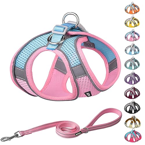 AIITLE Step in Dog Vest Harness and Leash Set, Reflective No-Pull Pet Harness with Super Breathable Mesh for Outdoor Walking, Training for Small Dogs, Cats Pink XXS