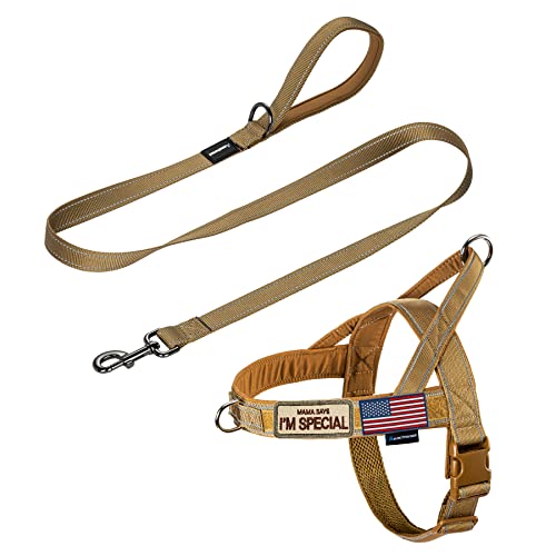 Annchwool No Pull Dog Harness with Padded Handle+5 Ft Leash,Reflective Strip Escape Proof and Quick Fit to Adjust Dog Harness,Easy for Training Walking for Small & Medium and Large Dog(Brown-Set,M)