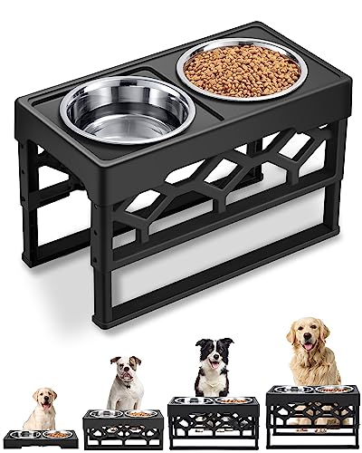 Best Elevated Dog Food Bowls