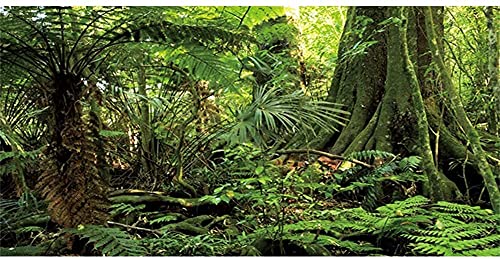 AWERT 30x12 inches Forest Terrarium Background Stone Green Huge Tree Reptile Habitat Background Tropical Rainforest Aquarium Background Durable Polyester Background