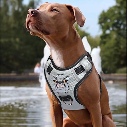 BABYLTRL No Pull Dog Harness with Leash & Collar, Adjustable Dog Vest Harness Reflective Oxford No-Choke Soft Pet Harness for Small Medium Large Dogs Easy Control Harness (Sliver, Medium)