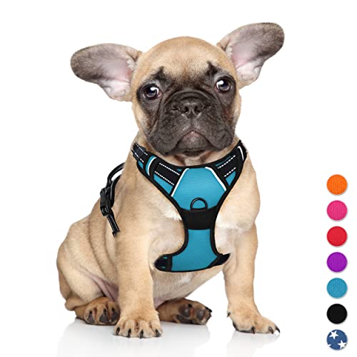 BARKBAY No Pull Pet Harness Dog Harness Adjustable Outdoor Pet Vest 3M Reflective Oxford Material Vest for BLUE Dogs Easy Control for Small Medium Large Dogs (S)
