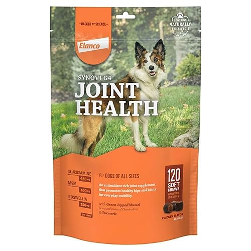 Bayer Synovi G4 Soft Chews Glucosamine Joint Supplement for Dogs, Count of 120, 120 CT