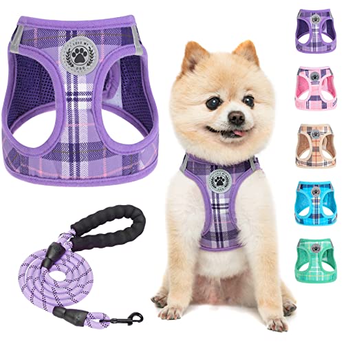 BEAUTYZOO Dog Harness and Leash Set,Step in No Chock No Pull Soft Mesh Reflective for Extra-Small/Small Medium Puppy Dogs and Cats, Plaid Dog Vest Harness for XS S Pets, Purple S