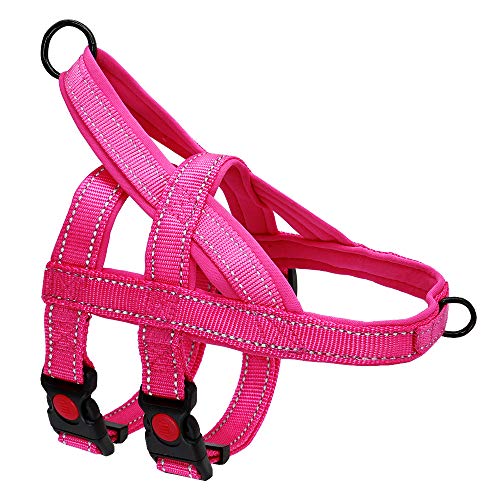 Beirui No Pull Escape Proof Dog Harness for Small Medium Large Dogs - Soft Padded Reflective Puppy Dog Walking Harnesses (Hot Pink, S)