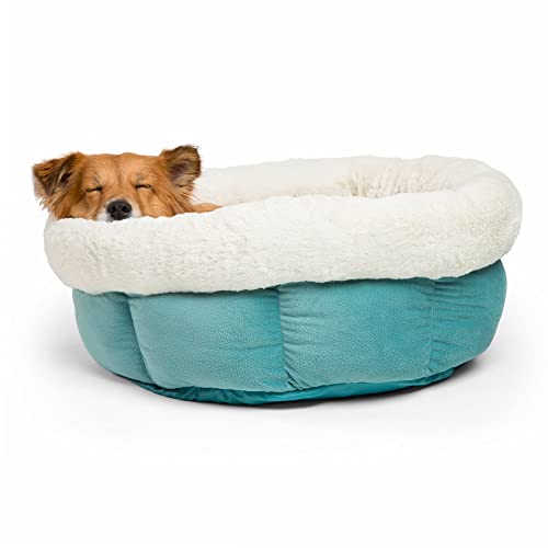 Best Friends by Sheri Cuddle Cup Ilan Cozy Microfiber Cat and Dog Bed in Jumbo Tide Pool