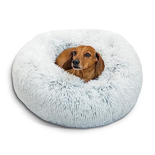 Best Friends by Sheri The Original Calming Donut Cat and Dog Bed in Shag Fur Frost, Small 23x23