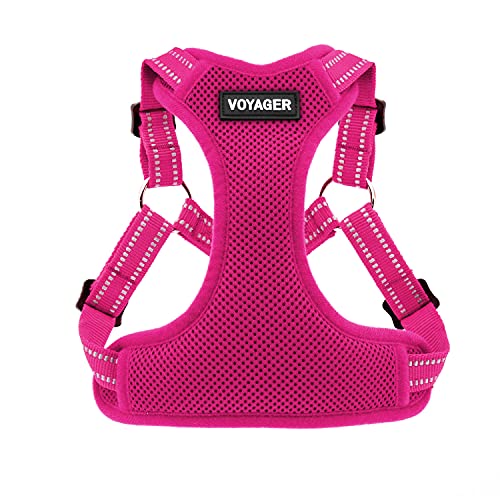 Best Pet Supplies Voyager Adjustable Dog Harness with Reflective Stripes for Walking, Jogging, Heavy-Duty Full Body No Pull Vest with Leash D-Ring, Breathable All-Weather - Harness (Fuchsia), L