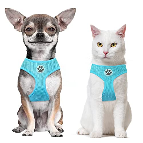 BINGPET Small Dog Harness - Breathable Mesh Puppy Cat Harnesses - No Pull Adjustable Dog Harness Dog Vest Harness for Small and Medium Dogs