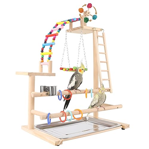 Bird Playground, Perch Stand Parrot Playstand Play Gym with 2 Perches Stand Windmill Toys, Playpen for Parakeet Conure Cockatiel Lovebird Budgie Caique, Exercise Playgym with Feeding Cups