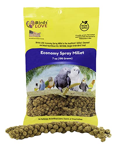 Birds LOVE Economy & Thin Special Spray Millet GMO-Free No Pesticides (No Stems Only Edible Tops) for Birds Cockatiel Lovebird Parakeet Finch Canary All Parrots Healthy Treat - 7oz