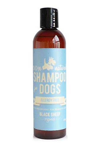 Black Sheep Organics Allergy Free Shampoo for Sensitive Dog Skin - Unscented Hypoallergenic with Natural Ingredient - Olive and Coconut Oil for Dogs with Shea Butter- Made in Canada