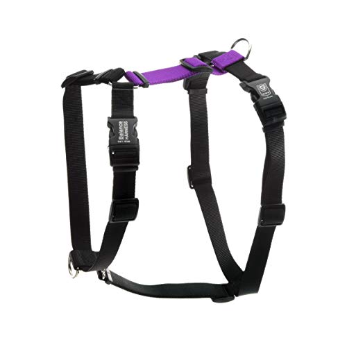 Blue-9 Buckle-Neck Balance Harness, Fully Customizable Fit No-Pull Harness, Ideal for Dog Training and Obedience, Made in The USA, Purple, Medium