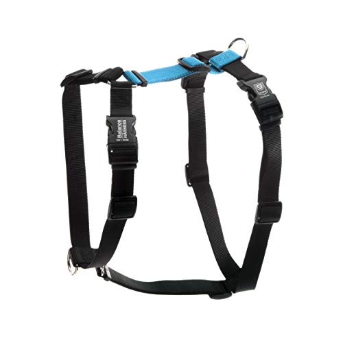 Blue-9 Buckle-Neck Balance Harness, Fully Customizable Fit No-Pull Harness, Ideal for Dog Training and Obedience, Made in The USA, Sky Blue, Medium