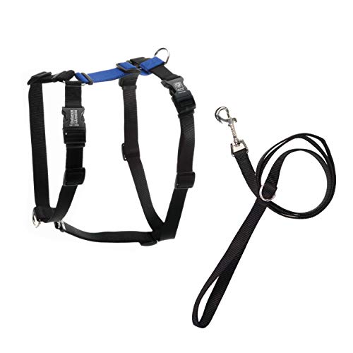 Blue-9 Pet Products No-Pull Balance Harness and Loose Leash Walking Set Dogs, Made in The USA, Blue, Large