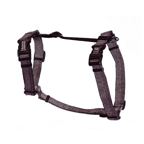 Balance Dog Harness 2023 - Vet Ranch - We Love Pets