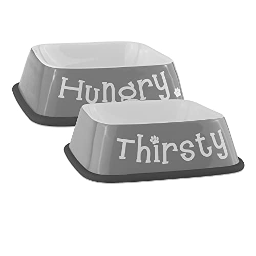 Bone Dry Hungry & Thirsty Pet Bowl, 6.75 x 6.75 x 2", Gray, Pack of 2