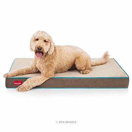 BRINDLE Waterproof Memory Foam Pet Bed - Removable and Washable Cover - 4 Inch Orthopedic Dog and Cat Bed - Fits Most Crates