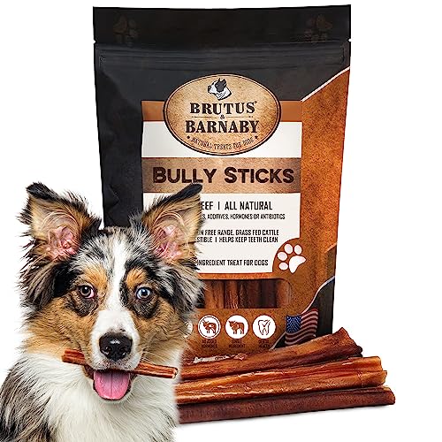 Bully Sticks, All Natural Treat, Low Odor,Long Lasting Beef Rawhide Alternative, Bully Chew Sticks Best For Aggressive Chewers, Small, Medium, Large Dogs Or Teething Puppies