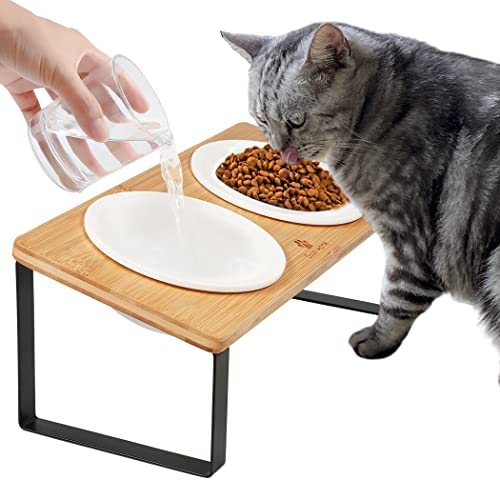 Ceramic Elevated Cat Bowls, Raised Puppy Dishes for Food and Water, Tilted Bamboo Stand for Anti Vomiting, Indoor 5.5 inch Wide Double Dish Orthopedic Anti-Vomiting