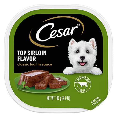 CESAR Adult Wet Dog Food Classic Loaf in Sauce Top Sirloin Flavor, 3.5 oz. Easy Peel Trays, Pack of 24