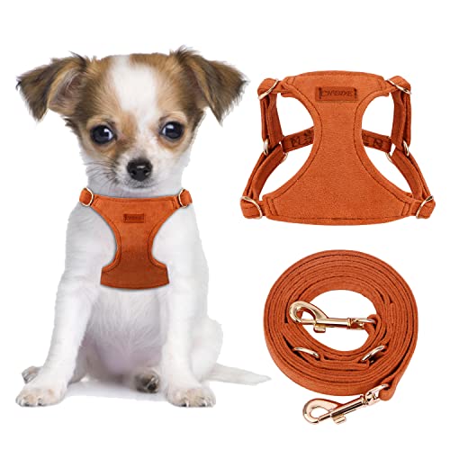 CHEDE No Pull Puppy Harness and Multifunction Dog Leash Set- 8 Colors Soft Adjustable No Choke Escape Proof Cute,Lightweight Pet Vest Harness for Small and Medium Dog (XS, Khaki)