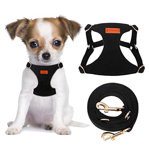 CHEDE No Pull Puppy Harness and Multifunction Dog Leash Set- 8 Colors Soft Adjustable No Choke Escape Proof Cute,Lightweight Pet Vest Harness for Small and Medium Dog (XS, Black)