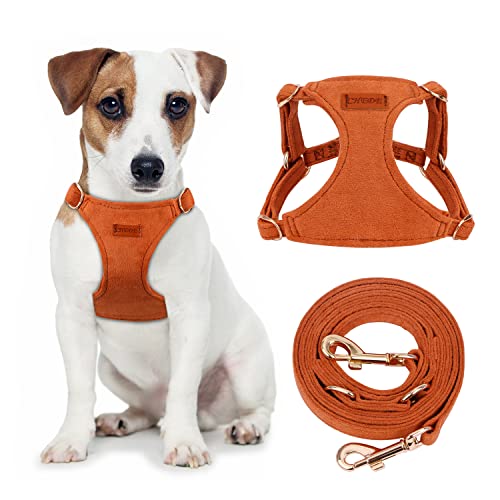 CHEDE No Pull Puppy Harness and Multifunction Dog Leash Set- 8 Colors Soft Adjustable No Choke Escape Proof Cute,Lightweight Pet Vest Harness for Small and Medium Dog (S, Khaki)