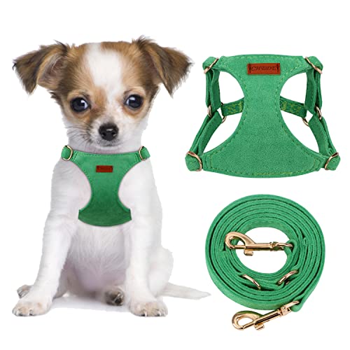 CHEDE No Pull Puppy Harness and Multifunction Dog Leash Set- 8 Colors Soft Adjustable No Choke Escape Proof Cute,Lightweight Pet Vest Harness for Small and Medium Dog (XXS, Green)