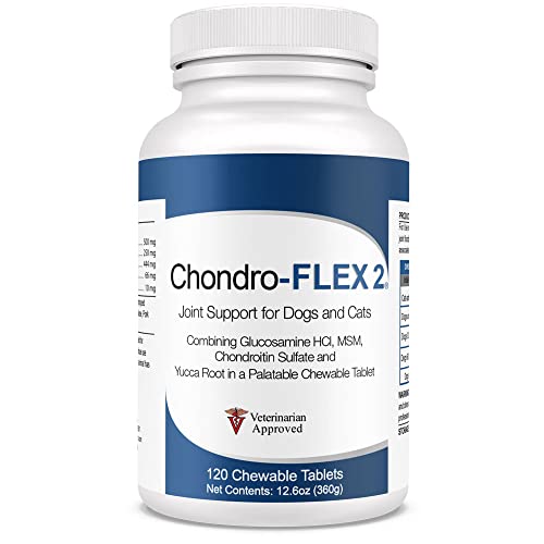 Chondro Flex II Joint Support for Dogs & Cats - Combining Glucosamine HCI, MSM, Chondroitin Sulfate & Yucca Root, Highly Palatable, 120 Chewable Tablets