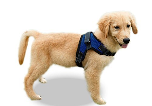 Copatchy No Pull Reflective Adjustable Dog Harness with Handle (Medium Blue)