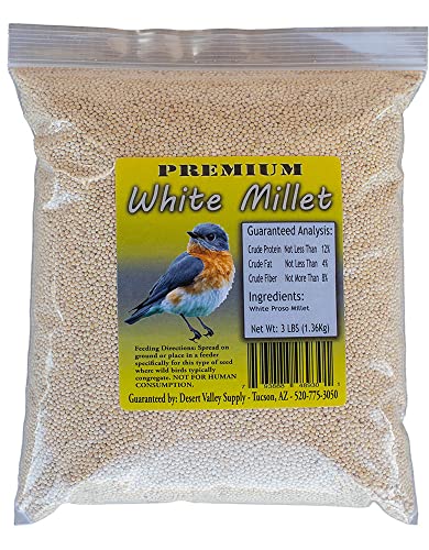 Desert Valley Premium White Millet Proso Seeds - Wild Bird Food- Cardinal, Finch & More (3-Pounds)