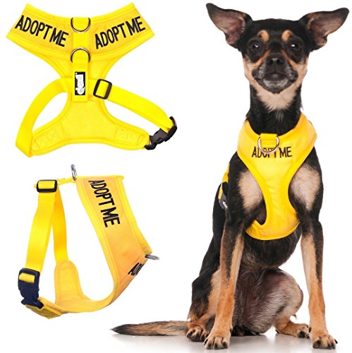 Dexil Limited Adopt ME Yellow Color Coded Non-Pull Front and Back D Ring Padded and Waterproof Vest Dog Harness Donate to Your Local Charity (XS)