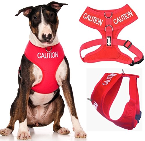 Dexil Limited Caution (Do Not Approach) Red Color Coded Non-Pull Front and Back D Ring Padded and Waterproof Vest Dog Harness Prevents Accidents by Warning Others of Your Dog in Advance (L)